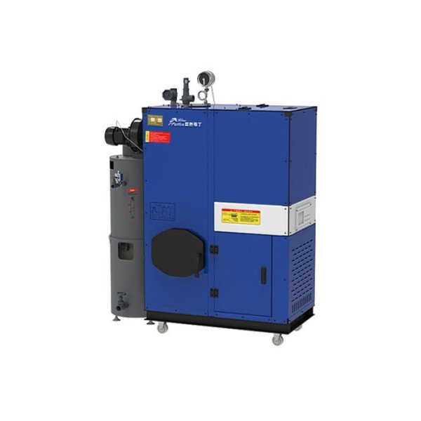 Biomass steam boiler